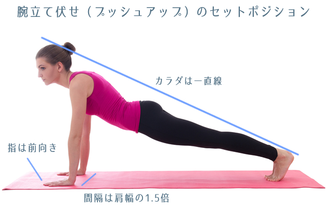 腹筋,ダイエット,腕立て