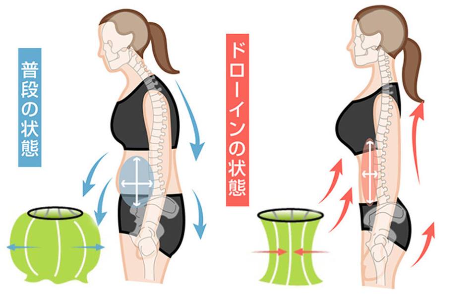 ドローイン,お腹,プランク