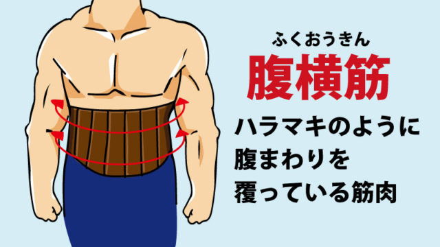 お腹痩せ腹横筋