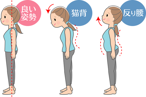 姿勢改善