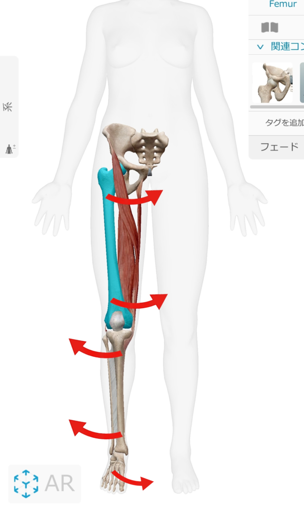 xokyakugenin